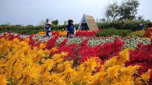 Wisata Romantic Garden Jogja Bikin Hati Berbunga-Bunga